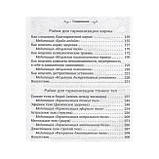 Рейкі для гармонізації: чакр, карми, тонких тел. Атма Ручира (книга), фото 2