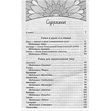 Рейкі для гармонізації: чакр, карми, тонких тел. Атма Ручира (книга), фото 3