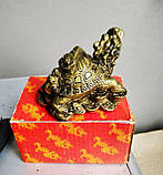 Статуетка фен - шуй дракон - черепаха, висота 5 див., фото 2