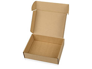 Коробка НП 0,25 кг плоска, 17х12х5 см, краще Нової Пошти - "БРОНЯ", самозбірна, гофрокартон Т22, профіль Е