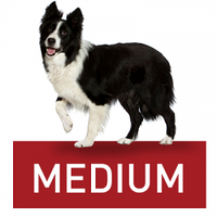 Royal Canin Medium-для собак вагою від 10 кг до 25 кг