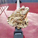 Статуетка Грошова Жаба, висота 10 см., ширина 12 див., фото 2