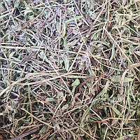 100 г чабрец/тимьян ползучий трава сушеная (Свежий урожай) лат. Thýmus