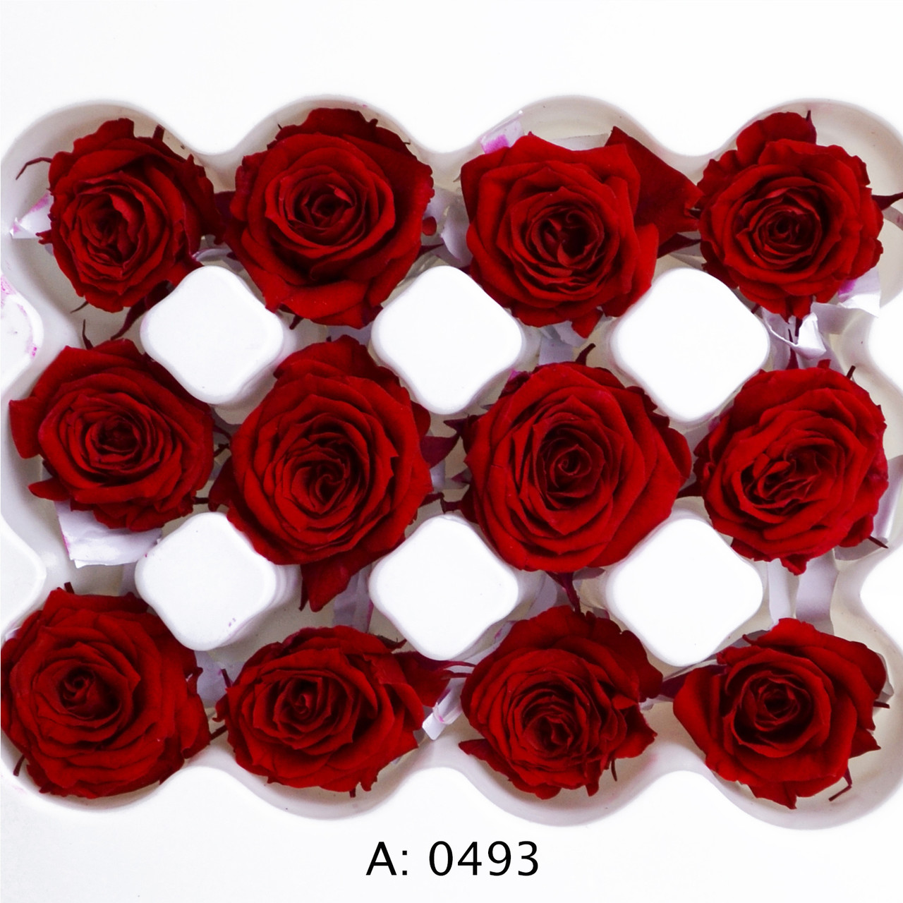 Роза червона міні Ø2-3 см Verona Red, 12 шт/упаковка