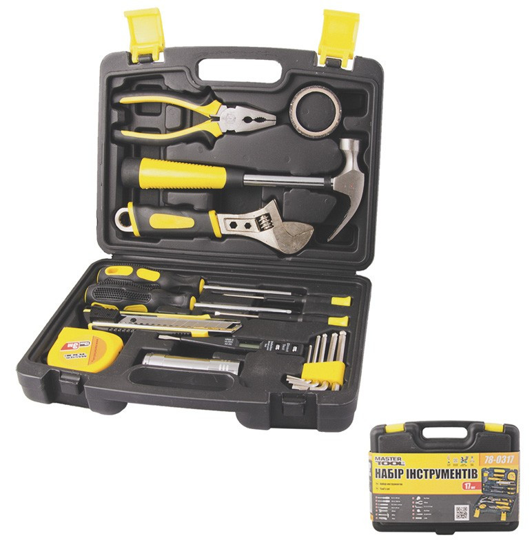 Набір інструментів MasterTool 78-0317, 17 елементів - фото 1 - id-p1494734904