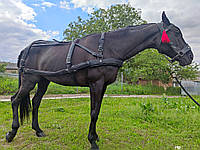 Впряж шкіряна румунська для коня, зшита ниткою
