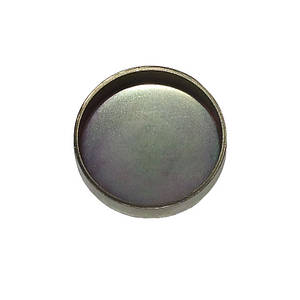 Заглушка D=45 мм блоку циліндрів DAF 70363 0267438