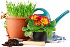 Товари для садівництва