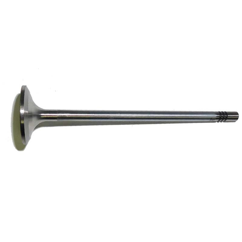 Клапан впускний дв. 7,2L FORD 2C466507EA (T122126) 2C466507EA
