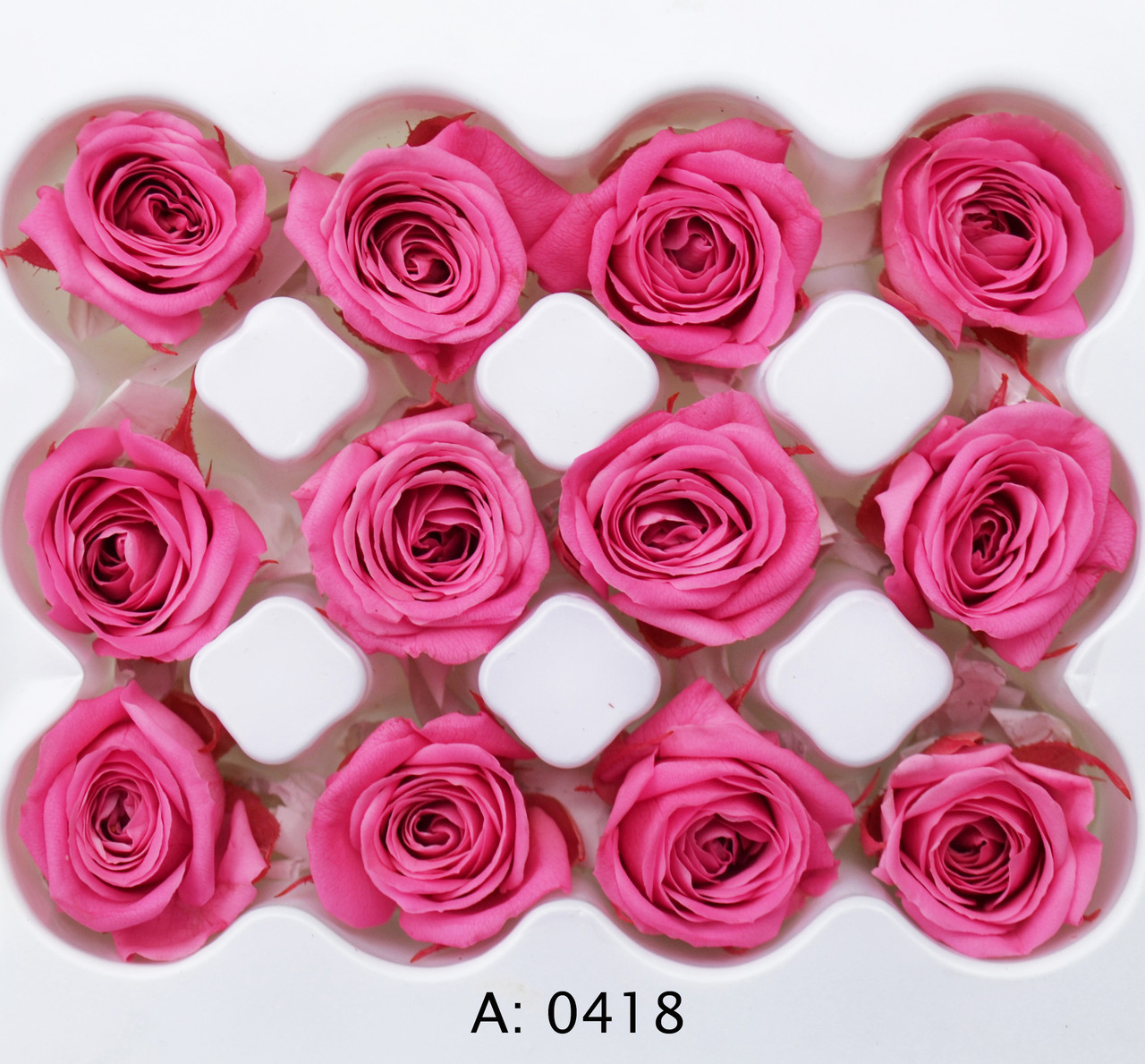 Троянда рожева міні Ø2-3 см Pink, 12 шт/упаковка