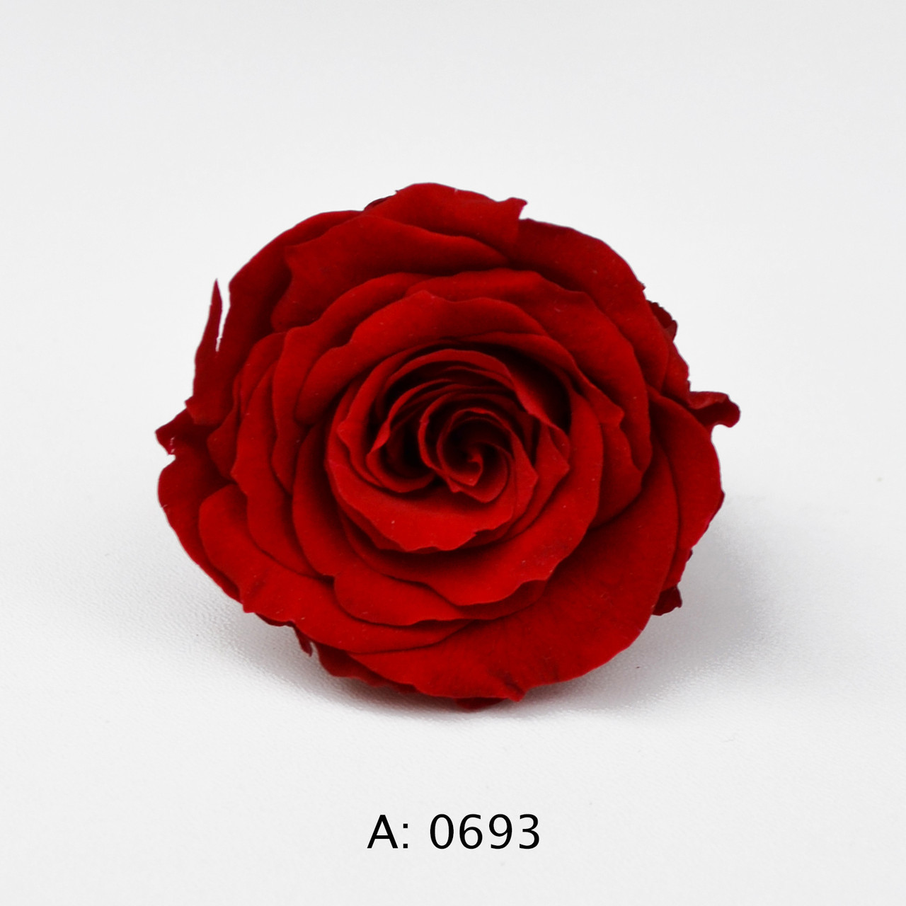 Троянда червона середня Ø3,5-4,5 см Verona Red, 1 бутон