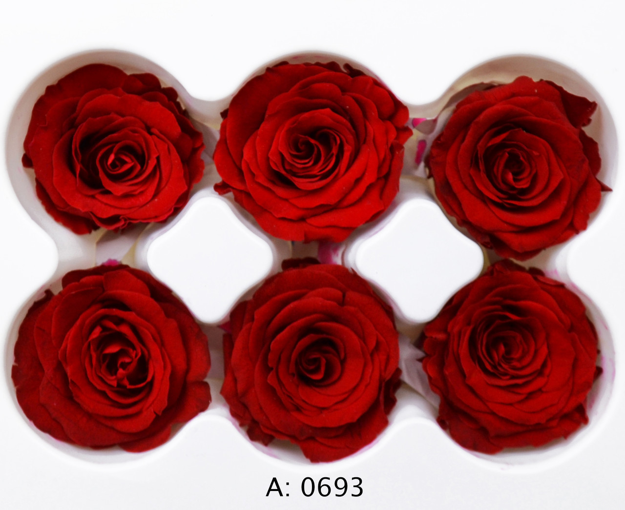Троянда червона середня Ø3,5-4,5 см Verona Red, 6 шт/упаковка