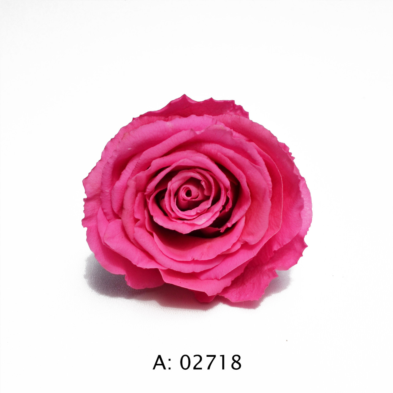 Троянда рожева велика Ø5-6 см Pink, 1 бутон, фото 1