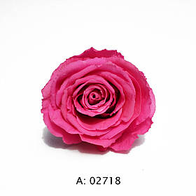 Троянда рожева велика Ø5-6 см Pink, 1 бутон