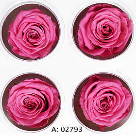 Троянда рожева велика Ø5-6 см Pink, 4 шт/упаковка