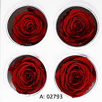 Троянда червона велика Ø5-6 см Verona Red, 4 шт/упаковка