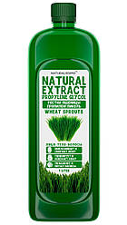 Пропіленгліколевий екстракт паростків пшениці, 1л, Косметический актив