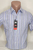 Мужская рубашка стильная Cobari vк-0003 голубая приталенная в узор Турция с коротким рукавом тенниска