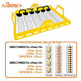 Теплуша 88 12/50 ТАВ з автоматичним перевертанням яєць, живленням 12 Вольт, гігрометром, фото 5