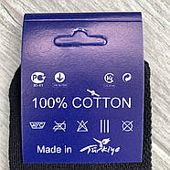 Шкарпетки жіночі спортивні короткі бавовна з сіткою Tommy Hilfiger, розмір 36-41, асорті, 04720, фото 4