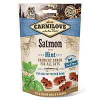 Ласощі для кішок Carnilove Salmon with Mint 50 г - лосось/мята (для зубів)