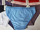 Бавовняні Трусики Мікс 24шт (2376), фото 3