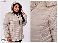 Женские куртки больших размеров.Женская демисезонная куртка. Весенняя женская куртка р-от 50 по 78 бежевая
