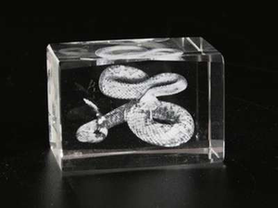 Голограма кришталева. Змія / Голограма кришталева. Змія 4x3x4 см, фото 1