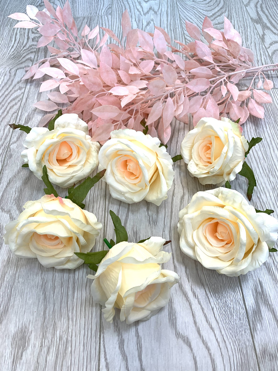 Мистецтвознавство троянди (9 см), фото 1