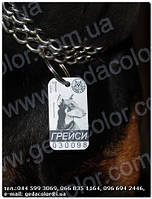 Жетоны для животных dog tag