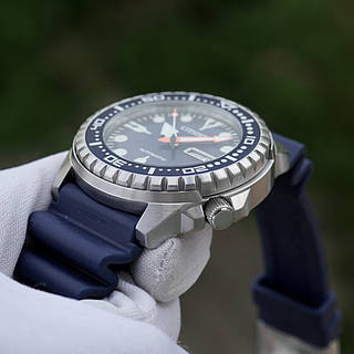 Citizen nh8381 online