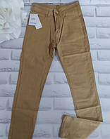 Джеггинсы штаны брюки женские лосины р. M-(44) цветные Ласточка Остатки (1009-1)