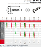 Саморіз з напівпотайною головкою DIN 7983, нержавіюча сталь А2, 6,3 X 100 мм, фото 2