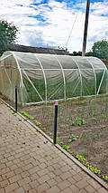 Теплиця «Дачна» під плівку 3*4, фото 5