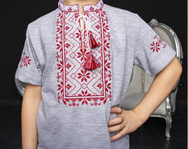 Етнічна одяг дитяча Футболка вишиванка для хлопчика, фото 2