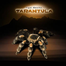 Павук Тарантул  ⁇  Tarantula by Yigal Mesika