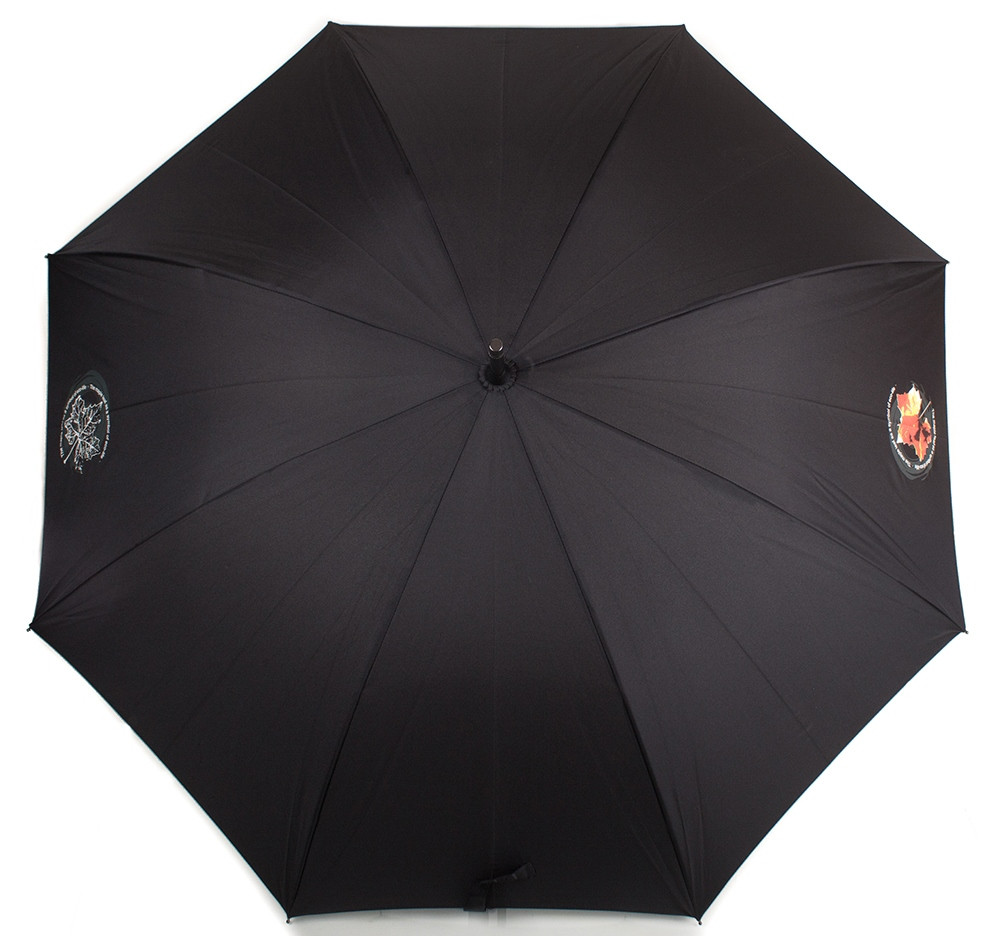 Зонт-трость женский полуавтомат NEX Z61661-5