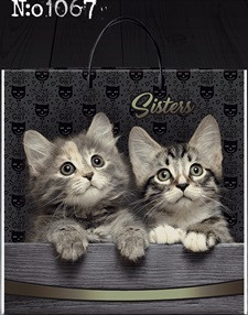 Пакет пласт руч 35*35 Sisters