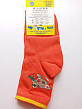 Дитячі демісезонні шкарпетки ХОМА ЖИТОМИР р. 12-14 КІТ - оранжевий / шкарпетки весна-осінь, фото 2