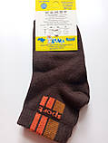 Дитячі демісезонні шкарпетки ХОМА ЖИТОМИР р. 12-14 СПОРТ - коричневий / шкарпетки весна-осінь, фото 2