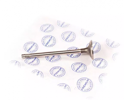 Клапан випускний PREMIUM Чері Амулет Chery Amulet 480EF-1007012
