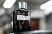 Elite Gentleman Avon