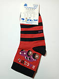 Дитячі демісезонні шкарпетки ХОМА ЖИТОМИР р. 14-16 АВТО - червоний / шкарпетки весна-осінь, фото 2