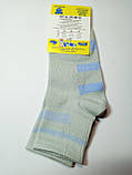 Дитячі демісезонні шкарпетки ХОМА ЖИТОМИР р. 14-16 ПОЛОСА - світло-сірий / шкарпетки весна-осінь, фото 2