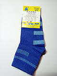 Дитячі демісезонні шкарпетки ХОМА ЖИТОМИР р. 14-16 ПОЛОСА - синій / шкарпетки весна-осінь, фото 2