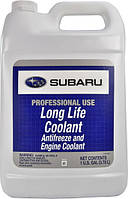 Концентрат антифризу Subaru Antifreeze Lonf Life Coolant 3.785 л