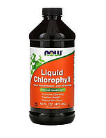 Хлорофіл рідкий концентрований для дорослих, аромат м'яти, Chlorophyll liquid, Now Foods, 473 мл