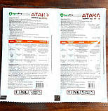 Інсектицид "Атака хрущ" ТМ "AgroProtection" 30мл, фото 3