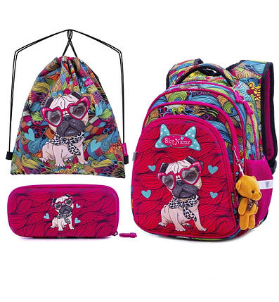 Шкільний набір ортопедичний рюкзак для дівчинки 1-4 клас пенал і сумка для взуття Собачка SkyName R2-174, фото 2