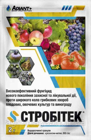 Стробітек (2г) Адіант